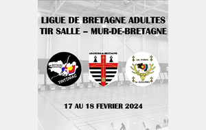 LIGUE DE BRETAGNE ADULTES [MUR-DE-BRETAGNE] (SALLE)